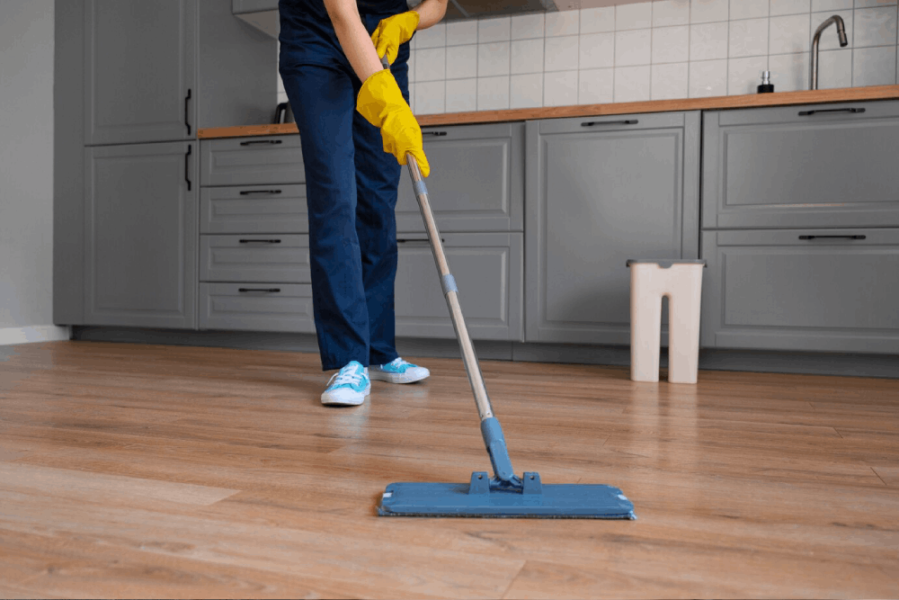 Propristine — Cleaning Service