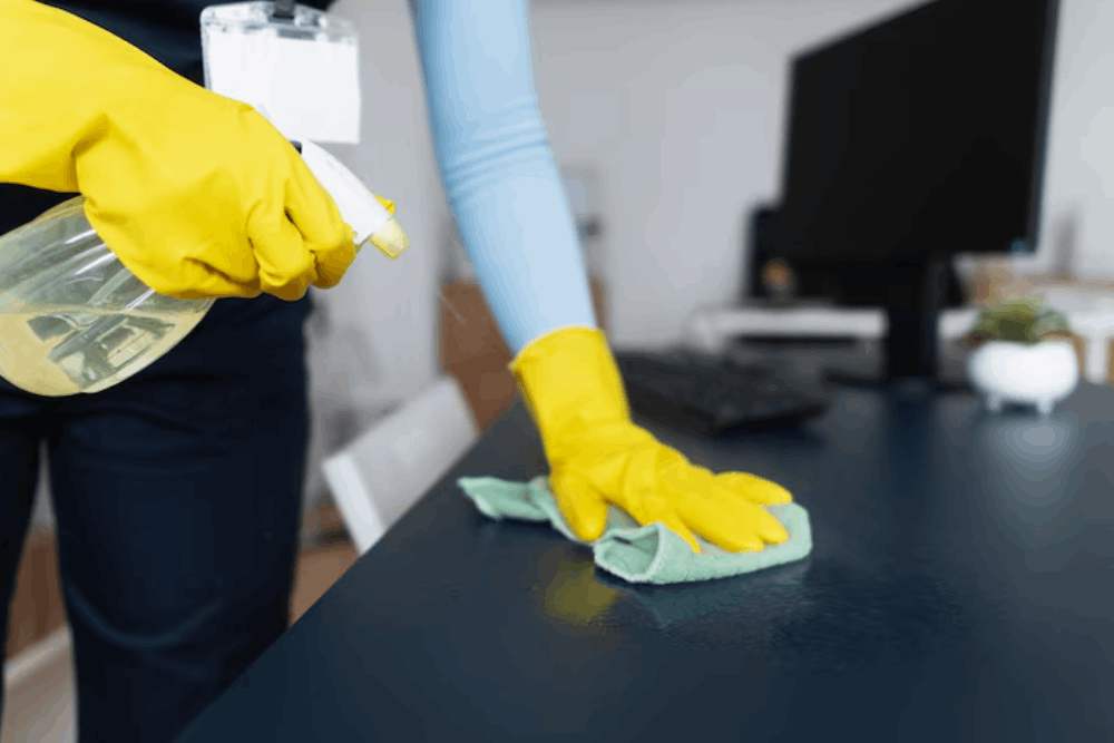 Propristine — Cleaning Service